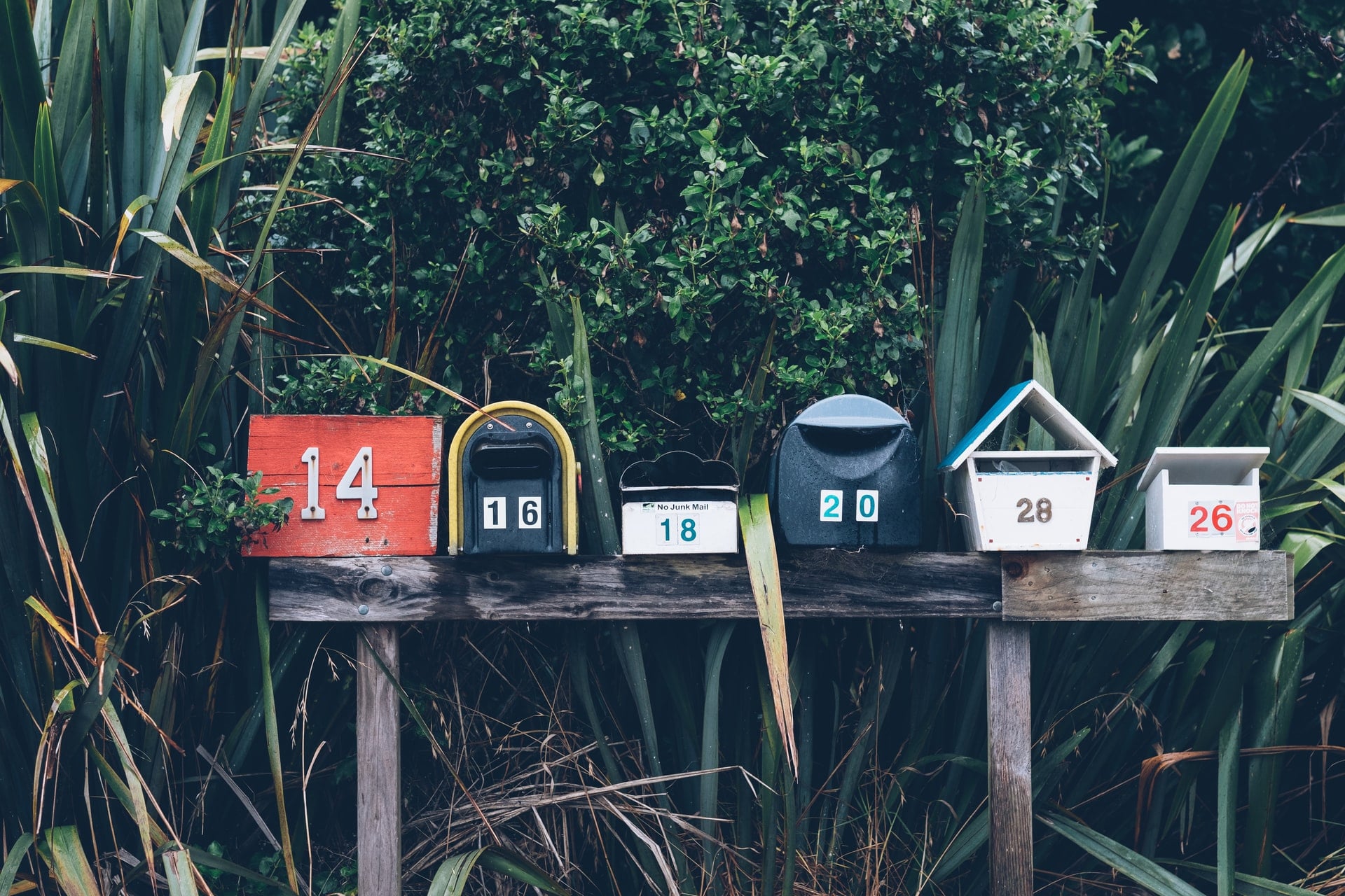 From "Why start a Newsletter" to "Why I haven't started a Newsletter yet"