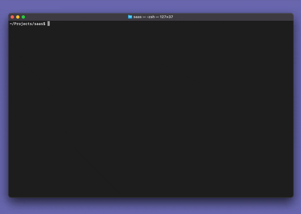 The running container shows up in docker ps.